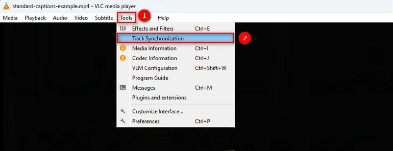 Access Track Synchronization