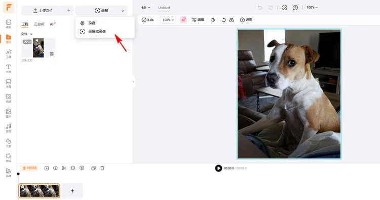 为狗狗视频添加配音 - 录音
