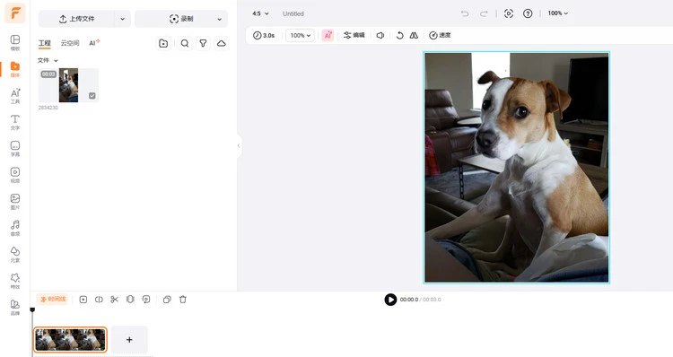 为狗狗视频添加配音 - 上传素材