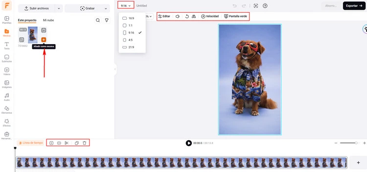 Make a Talking Dog Video Online - Upload