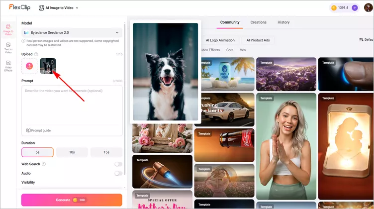 Turn a Still Dog Photo into a Talking Dog Video - Upload Photo