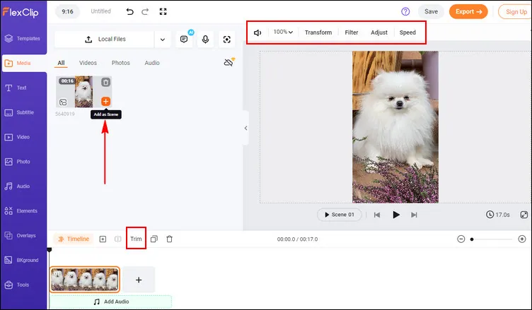 Make a Talking Dog Video Online - Upload