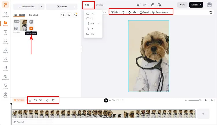 Make a Talking Dog Video Online - Upload