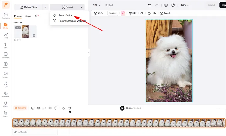 Edit Your Existing Pet Video into a Talking Pet Video - Record Voice