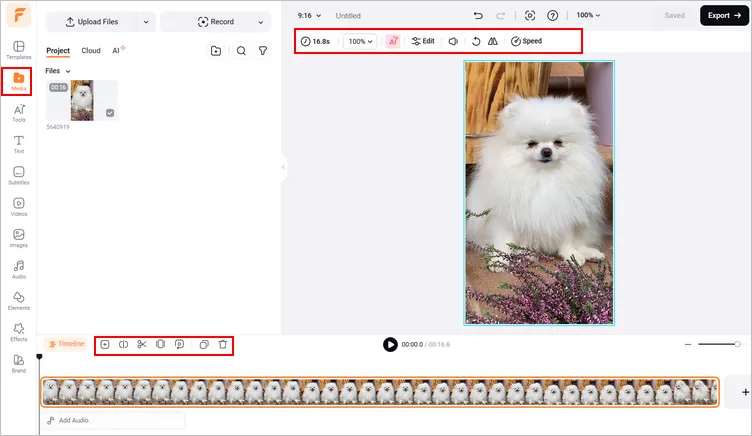 Edit Your Existing Pet Video into a Talking Pet Video - Upload