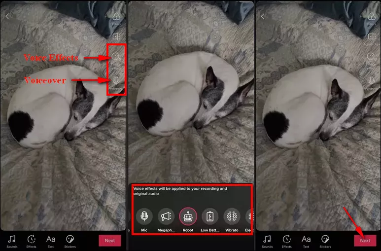  Make Your Dog Talk on TikTok Use Voice Over