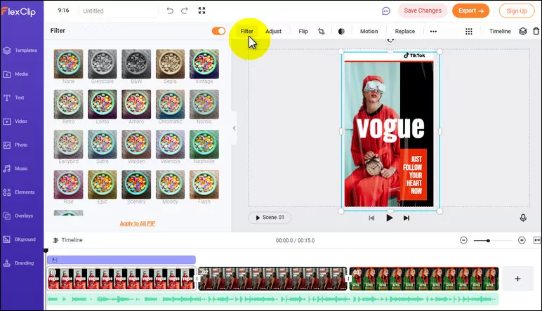 FlexClip Filters for TikTok Videos