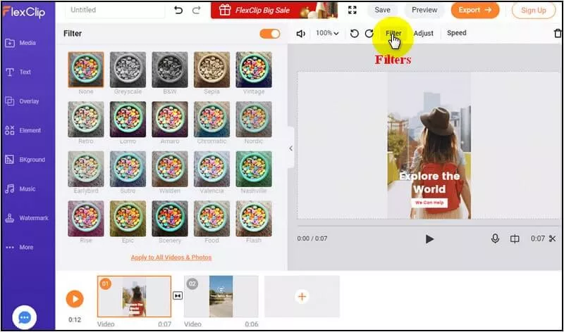 FlexClip Filters for TikTok Videos