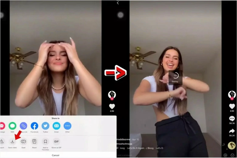 Save Videos from TikTok