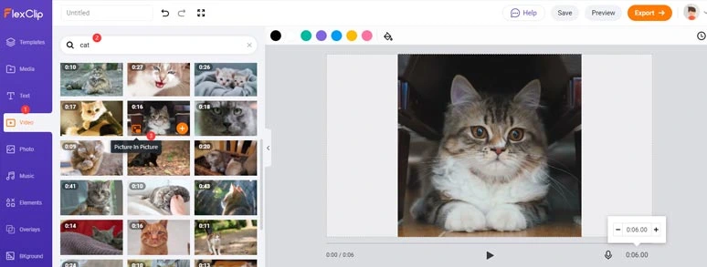 Create funny cat meme profile video for TikTok 