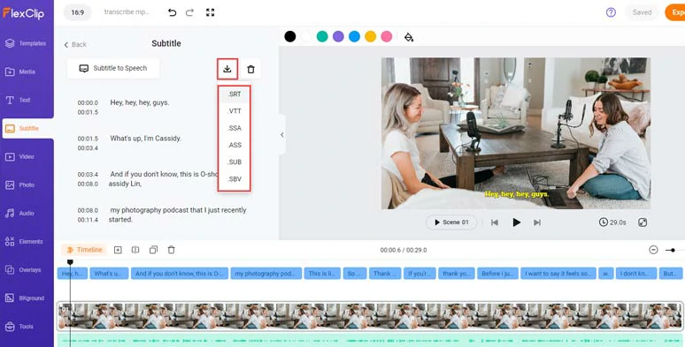 Edit and directly download the MP3 transcript in 6 subtitle formats