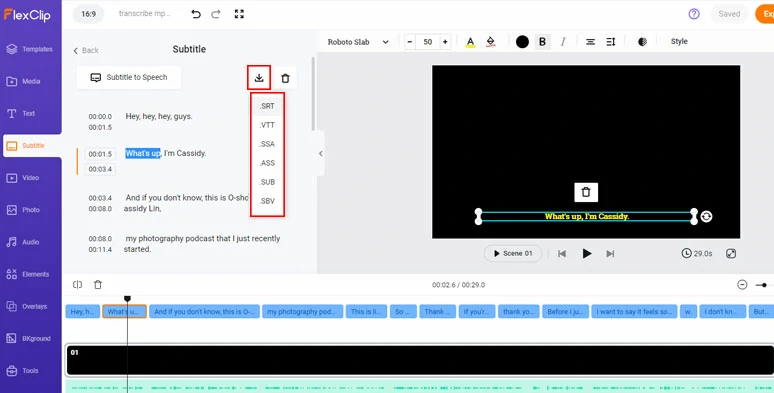 Edit the transcript and download the MP3 transcript in SRT, VTT, and other subtitle formats
