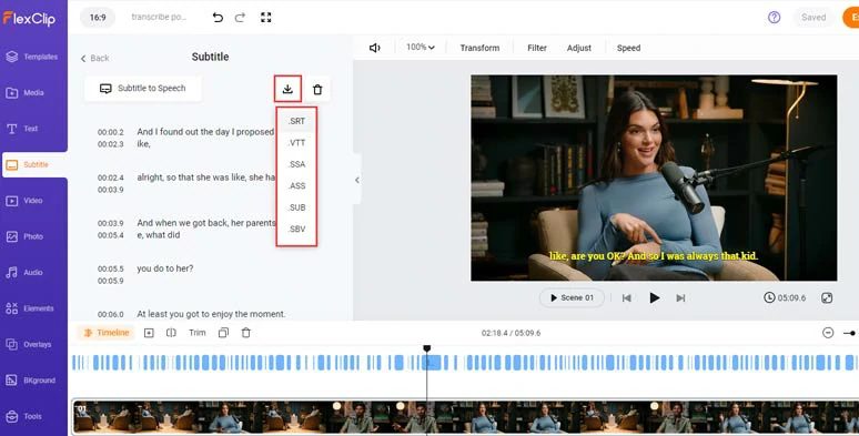 Proofread the AI-generated podcast transcript and directly download podcast transcript in SRT and 5 other subtitle formats