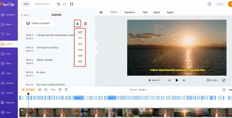 Directly download video transcripts in SRT and 5 other subtitle formats