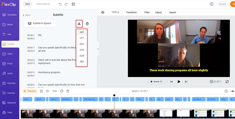 Directly download the Zoom recording transcript in diverse subtitle formats for your needs