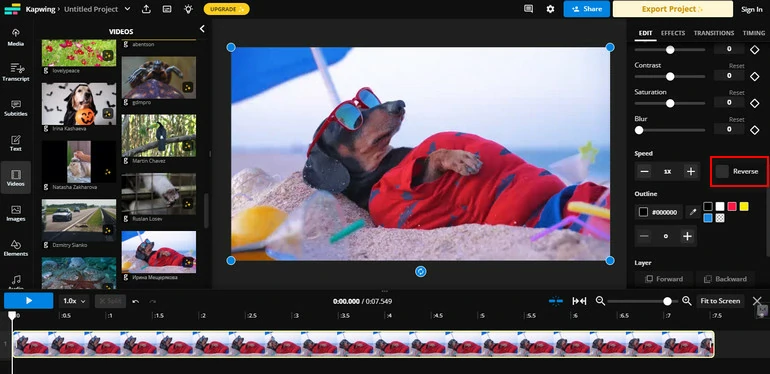 Reverse a Video with Kapwing