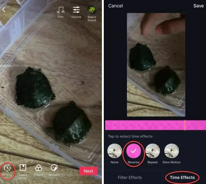 Reverse a Video with TikTok