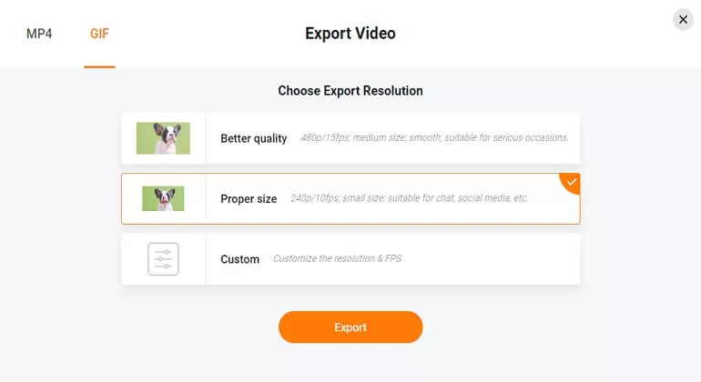 Video to GIF Online - Step 4