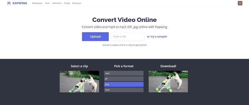 Convert Video to Photos with Kapwing