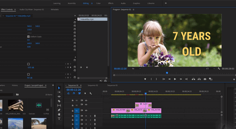 Adobe Premiere Pro - Ultra 4k视频切割机和视频增强器。