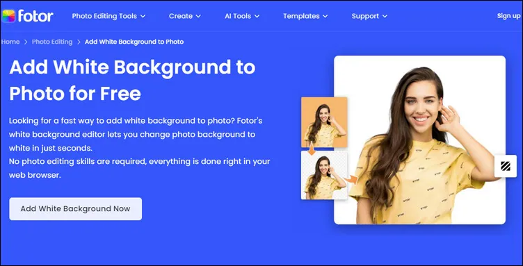 Online AI White Background Photo Editor - Fotor