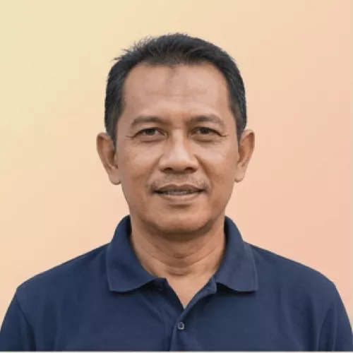 Ardi