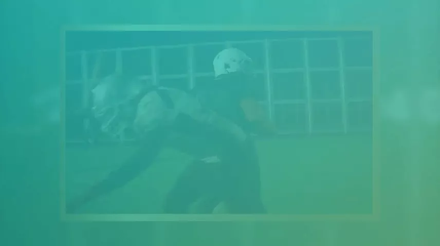 feature2