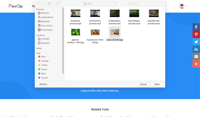 pánico Abundancia autobús Convertidor de vídeo online gratuito - Convierte tus archivos de vídeo  rápidamente | FlexClip