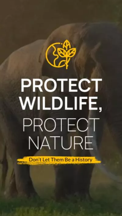 World Wild Animal Protection Natural Environment