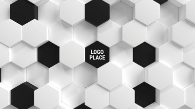 3D Noir Et Blanc Hexagone Logo Intro
