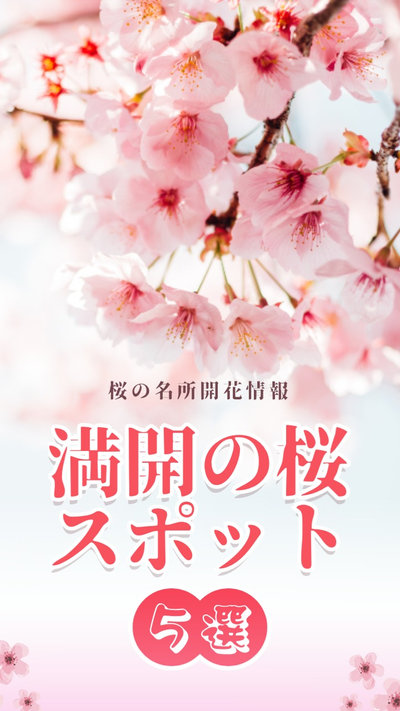 5 Kirschblüten Fleck in Japan