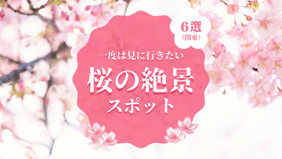 6 Kirschblüten Spot in Japan