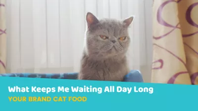 Animal Food Promo