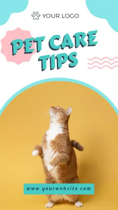 Animal Pet Care Tips Slideshow