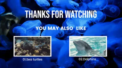 Animal Youtube Outro