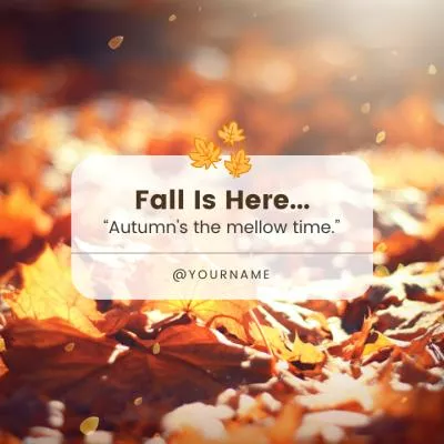 Autumn Fall Maple Leaf Photo Greeting Message Instagram Post