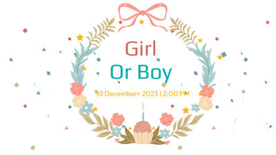 Baby Gender Revel Party