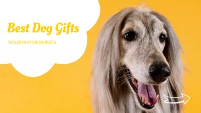 Best Dog Gifts