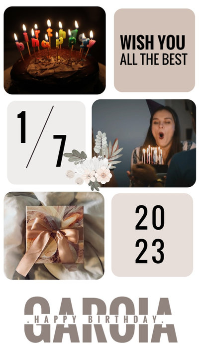 Birthday Photo Collage Instagram Reels
