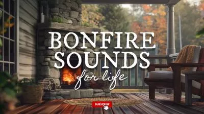 Bonfire Sound Relax Sleep Study Work Music White Noise Youtube Channel Intro Outro