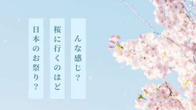 桜まつり 日本