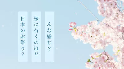 Cherry Blossom Festival Japan