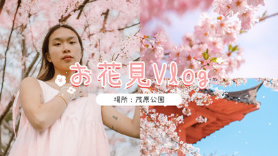 桜   ピクニック   Vlog   桜