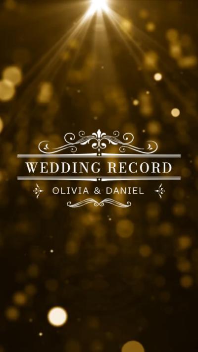 Gold Particle Wedding Highlights Recording
