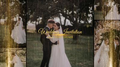 Golden Ray Wedding Slideshow Collage