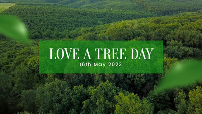 Green Modern Love a Tree Day Video