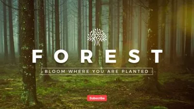 Green Nature Forest White Noise Travel Youtube Channel Intro Outro
