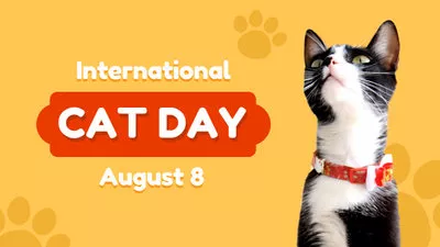 国際猫の日