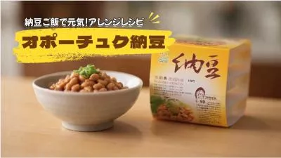 Japanese Local Specialty Ai Products Tv Commercial Promo