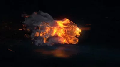  Logo Intro Fire Lion Run